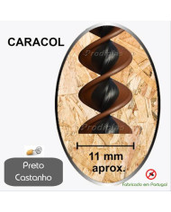 Caracol Medida Especial_Nº84