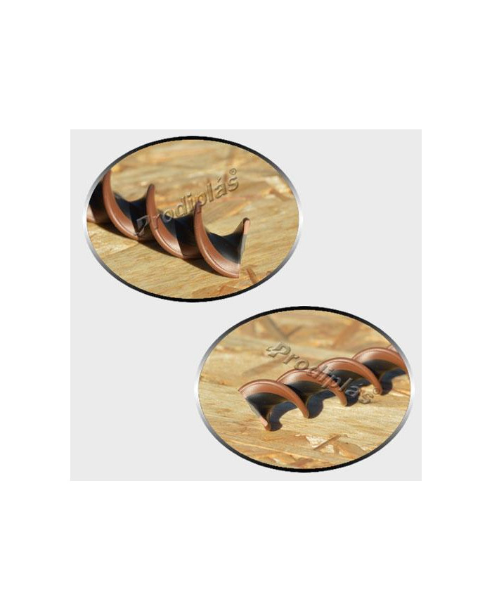 Caracol Medida Especial_Nº84