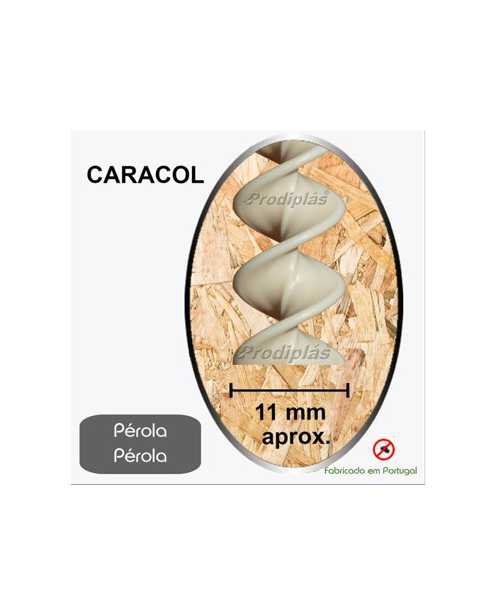 Caracol Medida Especial_Nº90