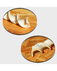 Caracol Medida Especial_Nº90