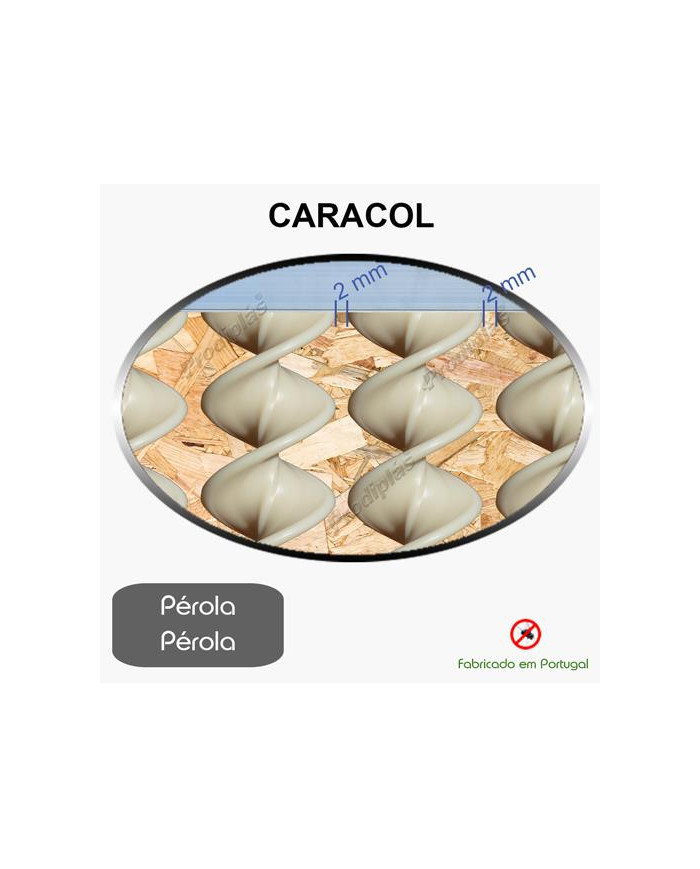 Caracol Medida Especial_Nº90