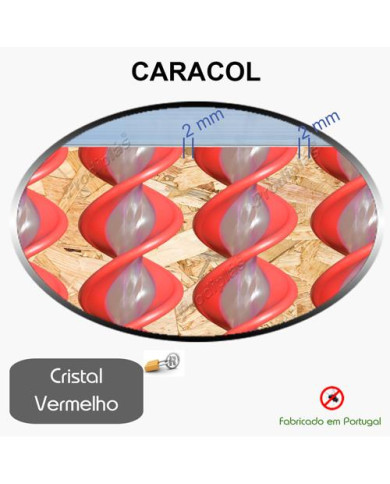 Caracol Medida Especial_Nº94