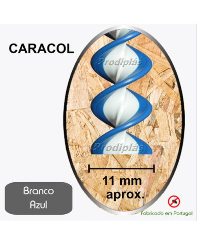 Caracol Medida Especial_Nº96
