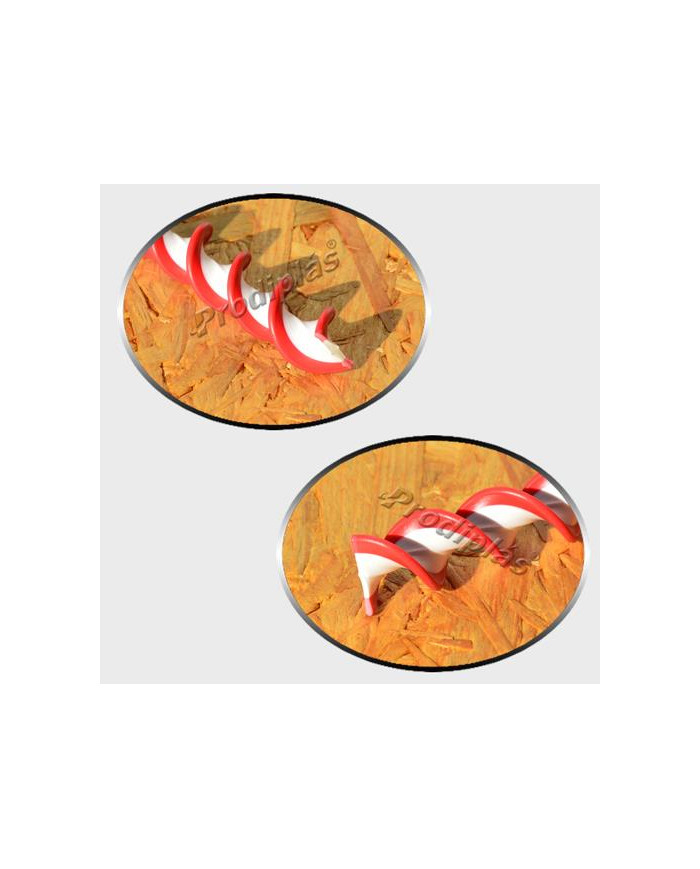 Caracol Medida Especial_Nº98