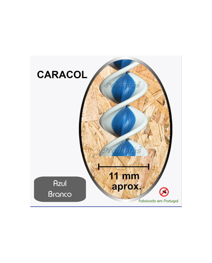 Caracol Medida Especial_Nº01