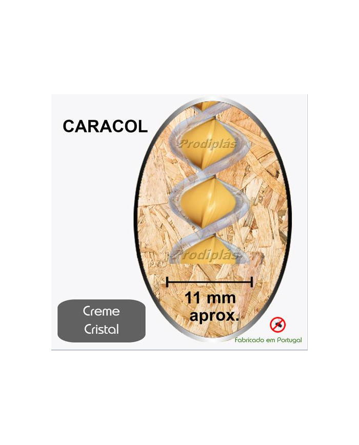 Caracol Medida Especial_Nº11