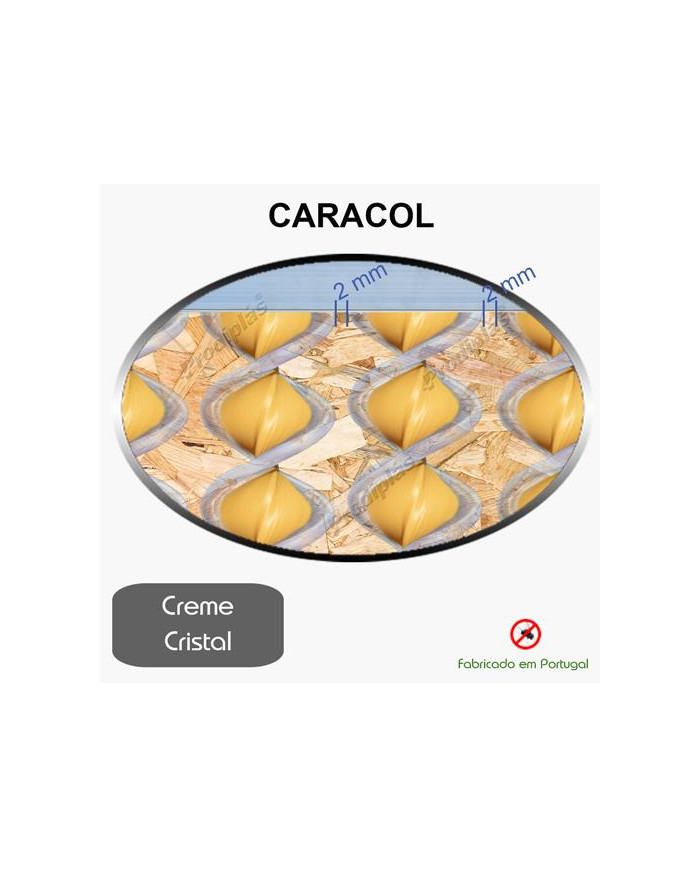 Caracol Medida Especial_Nº11