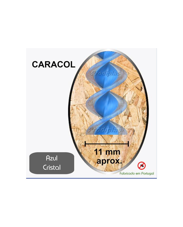 Caracol Medida Especial_Nº13