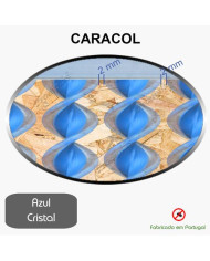 Caracol Medida Especial_Nº13