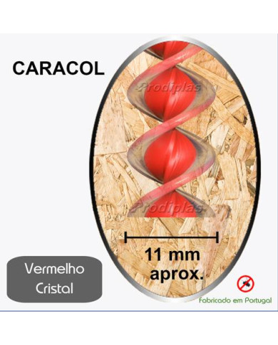 Caracol Medida Especial_Nº17