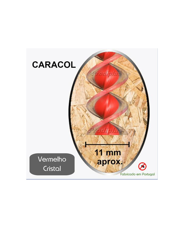 Caracol Medida Especial_Nº17