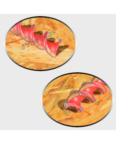 Caracol Medida Especial_Nº17