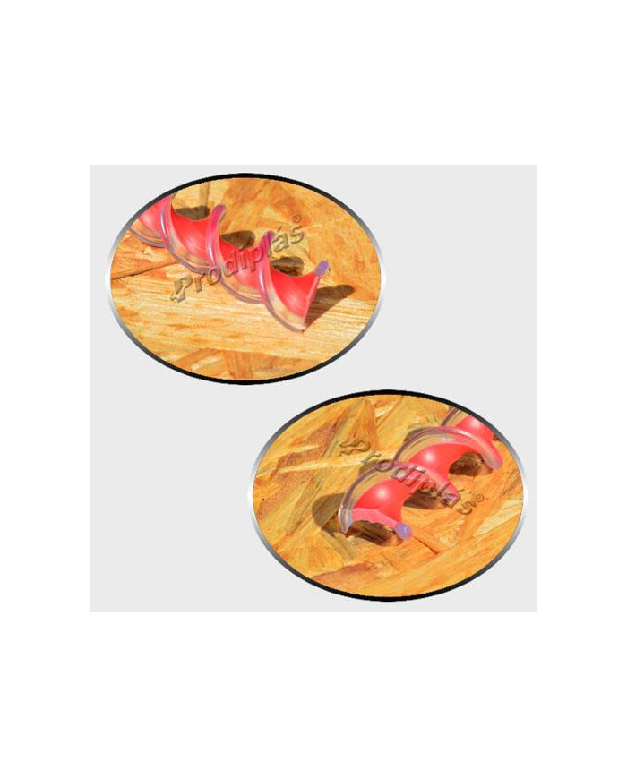 Caracol Medida Especial_Nº17