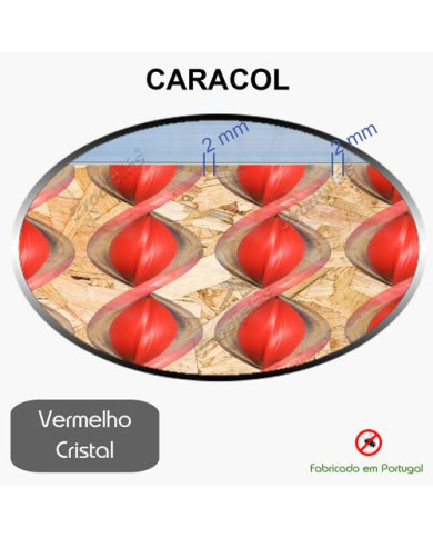 Caracol Medida Especial_Nº17