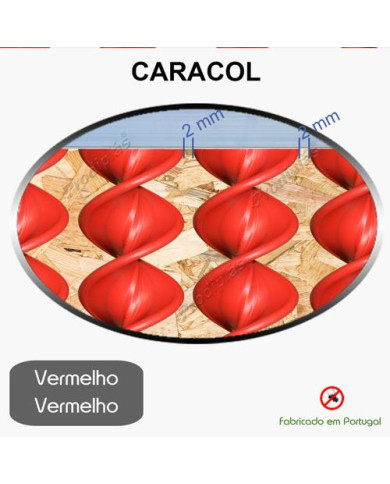 Caracol Medida Especial_Nº19