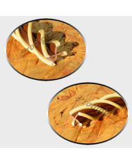 Estrela  1,00x2,00_Nº154