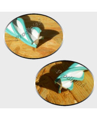 Estrela Medida Especial_Nº120