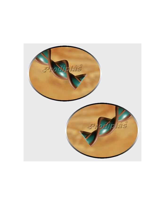 Matiz 1,10x2,00_Nº670